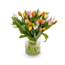 Bouquet of tulips